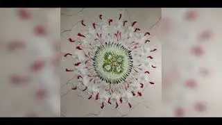Follow, Like, Share & Subscribe  #rangoli#art#flowers  