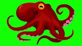 Green Screen | Octopus Green Background Video Footage Fontages