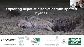 Eli Strauss: Exploring nepotistic societies with spotted hyenas (6 May 2025)