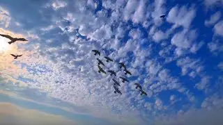 Badal background status video