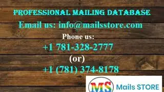 C Level Executives Email List - C Level Executive Mailing List - Mails STORE