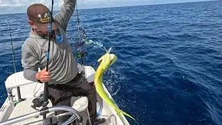 Dolphin Fishing South Florida! Catching Mahi Mahi while Trolling the Outer Reef
