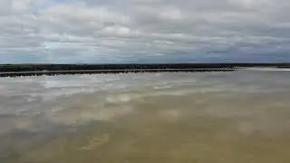 Yealering