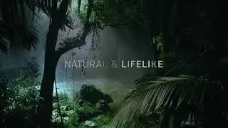 Dolby Atmos Bass Test &mdash; Powerful Bass, Rain & Jungle Surround Sound (5.1/7.1 Demo)