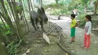 DINO PARK BOJNICE SLOVAKIA