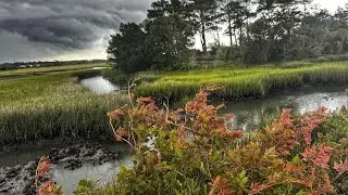 Nature Walk Litchfield Beach South Carolina Marsh #birds #nature #marsh #lowcountry #southcarolina