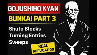 Gojushiho Kyan Bunkai Часть 3: Shuto Gedan Barai, входные повороты и размахи в реальных условиях