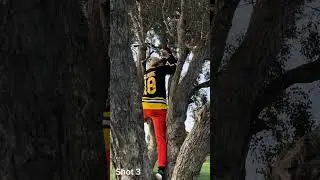 Always in the tree #golf #golfcontent #treed