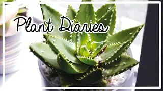 Plant Diaries 2