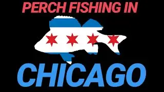 Chasing JUMBO Perch in Chicago (12/14/2019)