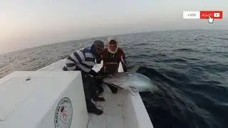 كفو عليكم شباب حرامل