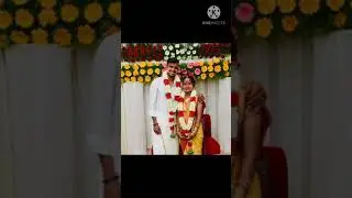 Natarajan family photos