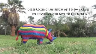 Rhino Without Borders breeding success!