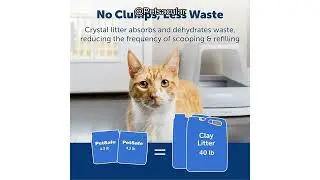 PetSafe ScoopFree Crystal Cat Litter Review: Does It Really Control Odor Effectively?