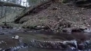 Abandoned Bushcraft Survival Shelter Solo Backpacking Overnight Day 2 of 3