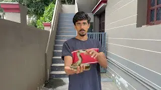 Rescued a snake 😱in my home @dush03 