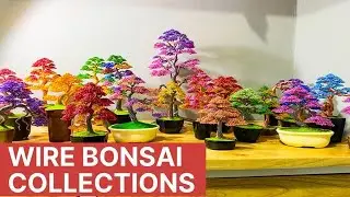 My Wire Bonsai Tree Collections so Far (Koleksi Bonsai Pohon Kawatku)