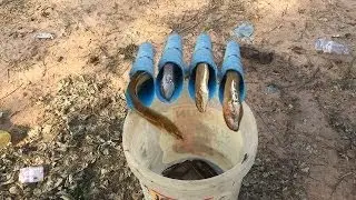 Easy eel trap by Plastic pipe make by smart boy catch a lot of eels -2017