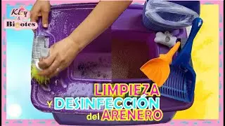 LIMPIA Y DESINFECTA CORRECTAMENTE EL ARENERO DE GATO