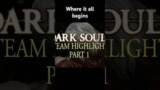 This will be a long marathon #darksouls #memes #gaming #funny #soulslike #fromsoftware