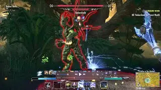 ESO: Kill Timbershade the Forest Wraith