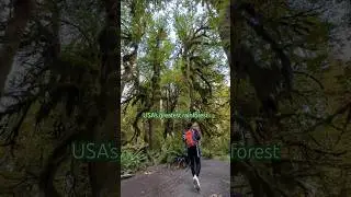 Hoh Rainforest 🌲 Most Beautiful Places to Visit in the World 😍 Olympic National Park, Washington