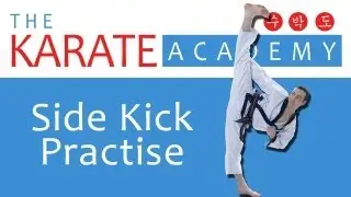 Martial Arts Side Kick Practise / Exercise