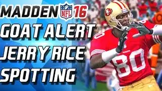 JERRY RICE! GOAT ALERT! UNGUARDABLE! - Madden 16 Ultimate Team