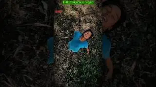 The Cursed Jungle 🔥 | Part 1 | Horror Suspense Short Film | Shadow Cinematics