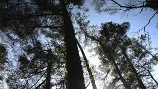 Swiss Valley Walk, Llanelli
