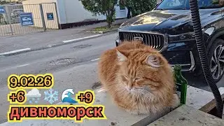 Ykov Bonar в прямом эфире! 9.02.26 снег идет в Дивноморске