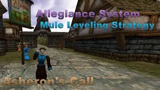 Asheron's Call - Allegiance System and Mule Leveling Strategy