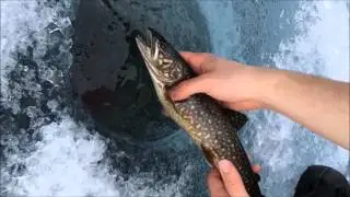 Late ice lake trout fun/ Ice fishing Westhawk Lake Manitoba