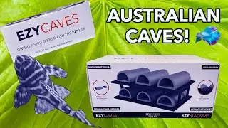 EZYCAVES REVIEW~ARE THEY EASY?!? * UNBOXING TROPICAL CATFISH! *