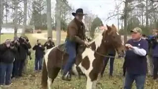 Roy Moore goes cowboy! Rides horse to vote in Alabama election