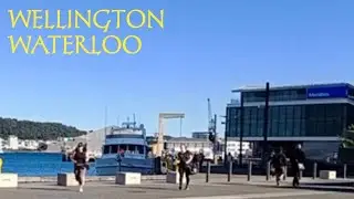 Walking the Streets of Wellington City- Railway Station to Foxglove Bar and Kitchen - Waterloo