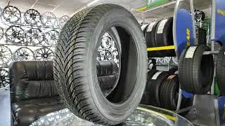 Toyo Сelsius AS2
