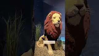🧱 Brick Planet 🌎 World premiere LEGO exhibit in Las Vegas!
