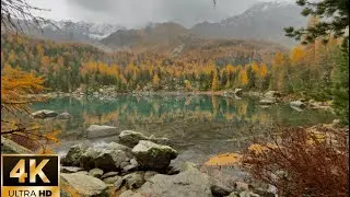 Walking in Rainy and Foggy Mountain, alpine lake⎜4K ASMR