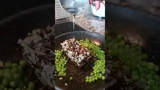 Meal Prep Hack Cook, Freeze & Reheat Wild Rice