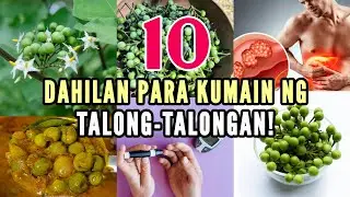 10 Dahilan Kung Bakit Dapat Mong Subukan ang Talong-Talongan!