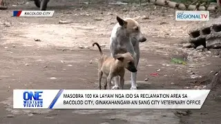 One Western Visayas: Masobra 100 layaw nga ido sa reclamation area sa Bacolod City, ginakahangaw-an
