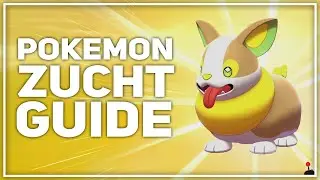 PERFEKTE POKEMON Z&Uuml;CHTEN (EV & DV GUIDE)