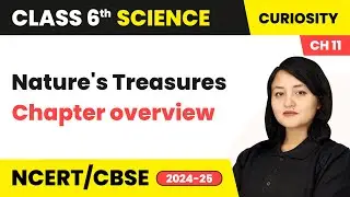 Nature's Treasures - Chapter overview | Class 6 Science Chapter 11 | CBSE 2025-26