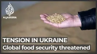 Renewed conflict in Ukraine could trigger a food supply crisis