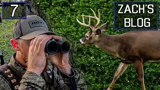 Early Season Excitement, First Sit At The Goat Hills | Zach's Blog #hunting #deerhunting