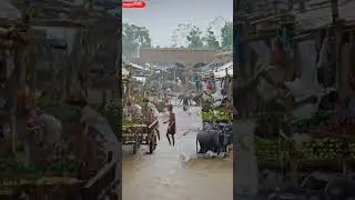 Shops Underwater | Flooded Village Struggle in Heavy Rain. #rain #villagelife #viral