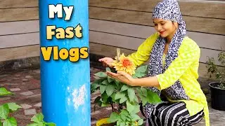 My Fast Vlog II Deepa Pathak 2025