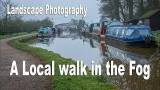 Local Walk in the Fog - Dorfold Hall - Landscape Photography