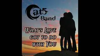 Cat5 Band - What's Love Got To Do With You